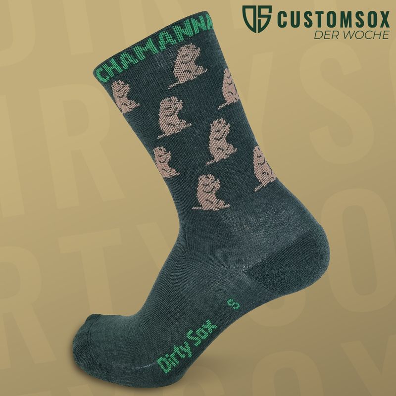 Chamanna d'Es-cha — Merinosocken