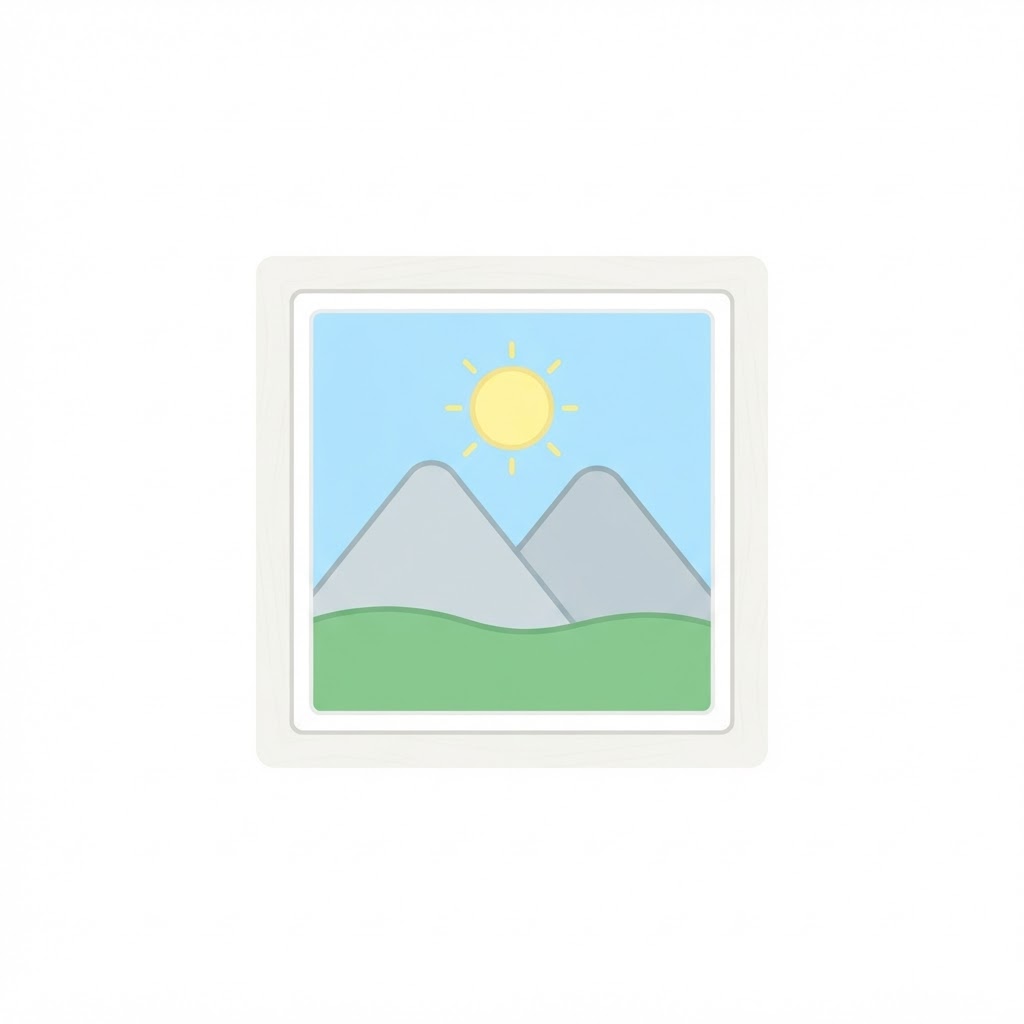 No images
