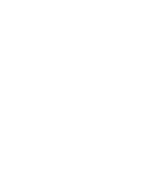 Platform logo