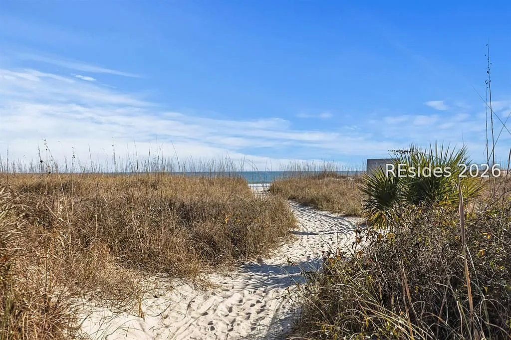 The Sandy Path to the Shore