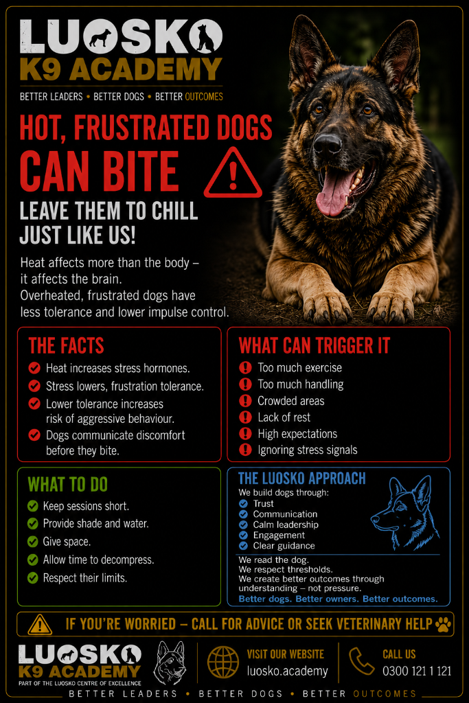 Hot, Frustrated Dogs Can Bite