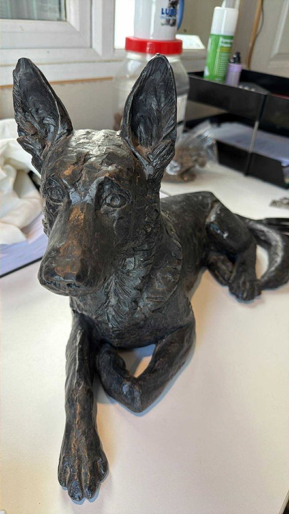 Maximus, a Forever Loved companion