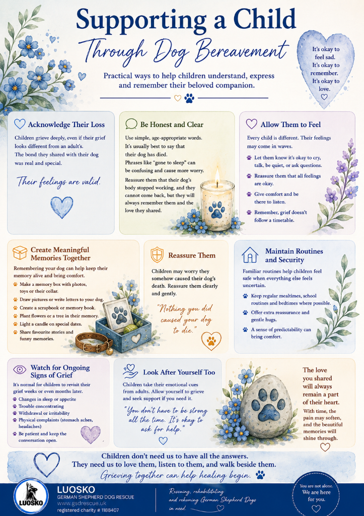 Supporting a Child Through Dog Bereavement