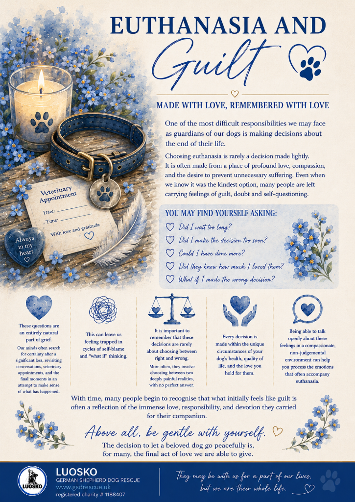 Euthanasia and Guilt