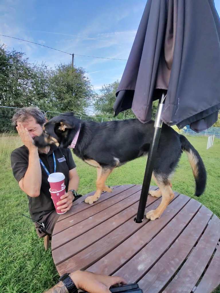 Skye's Story: Six Months Old and Starting Again