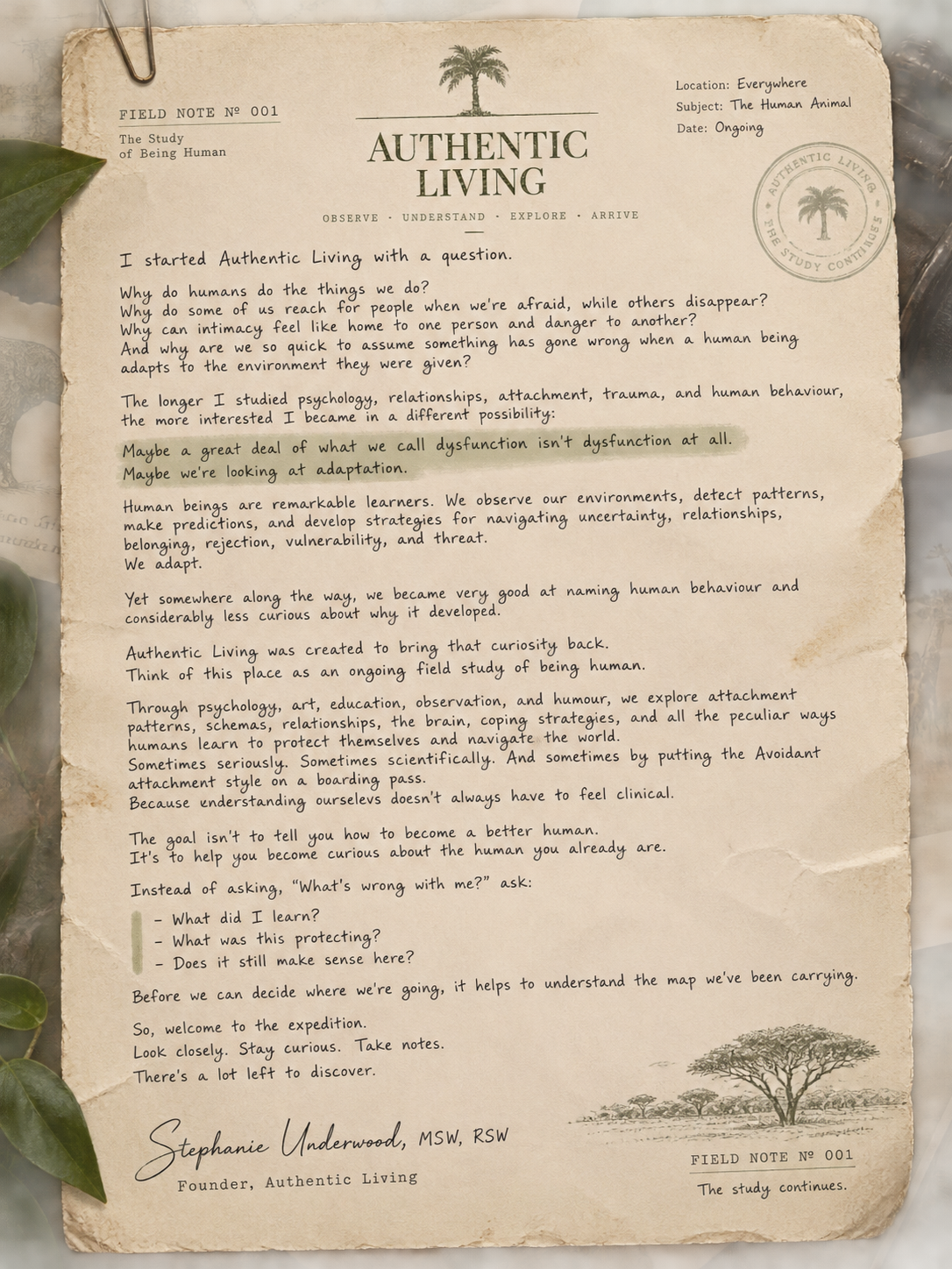 Field Note № 001 — a letter from Stephanie Underwood, founder of Authentic Living