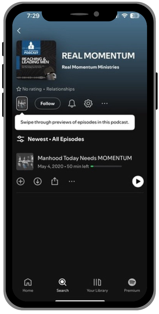 Spotify preview