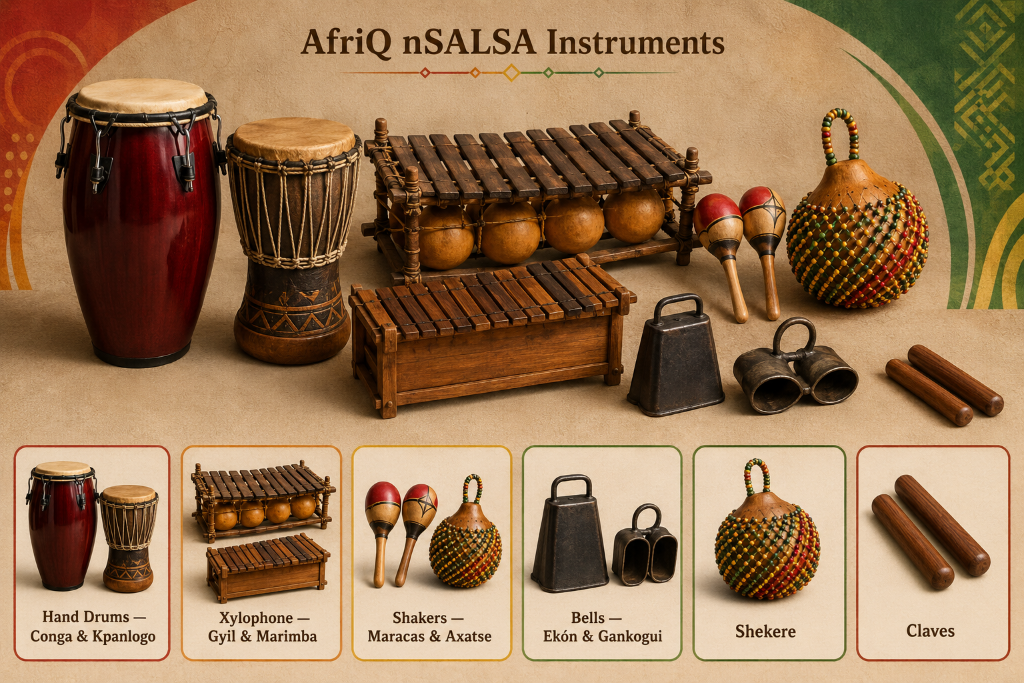 AfriQ nSALSA instruments guide