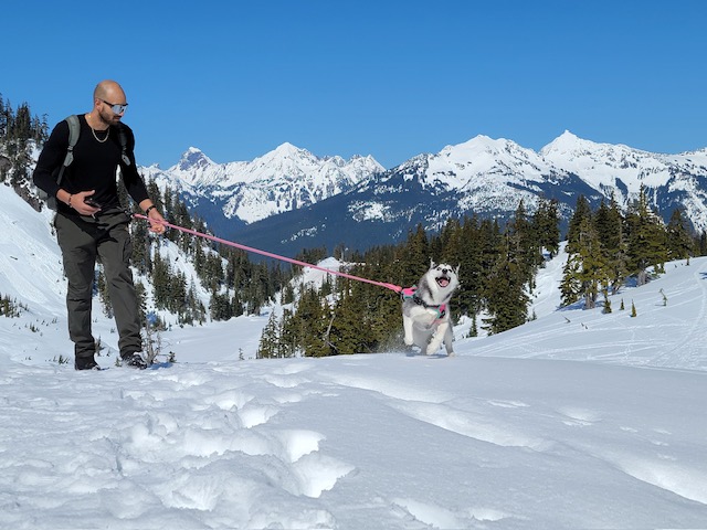 Rosé standing tall on alpine snow with mountains