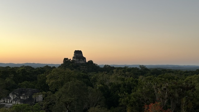 Tikal temple at post-sunset glow rising above the jungle
