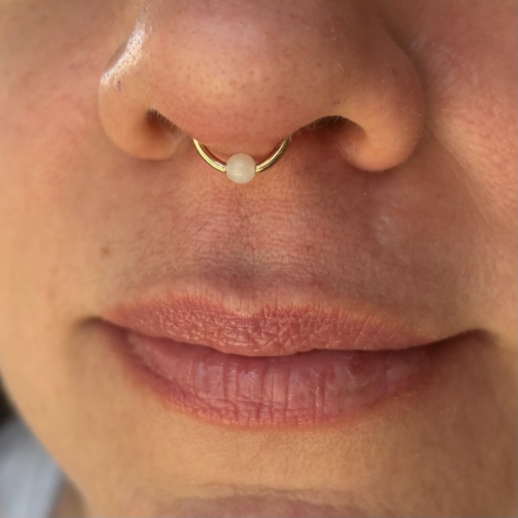 Professional septum piercing by Tribal Expression