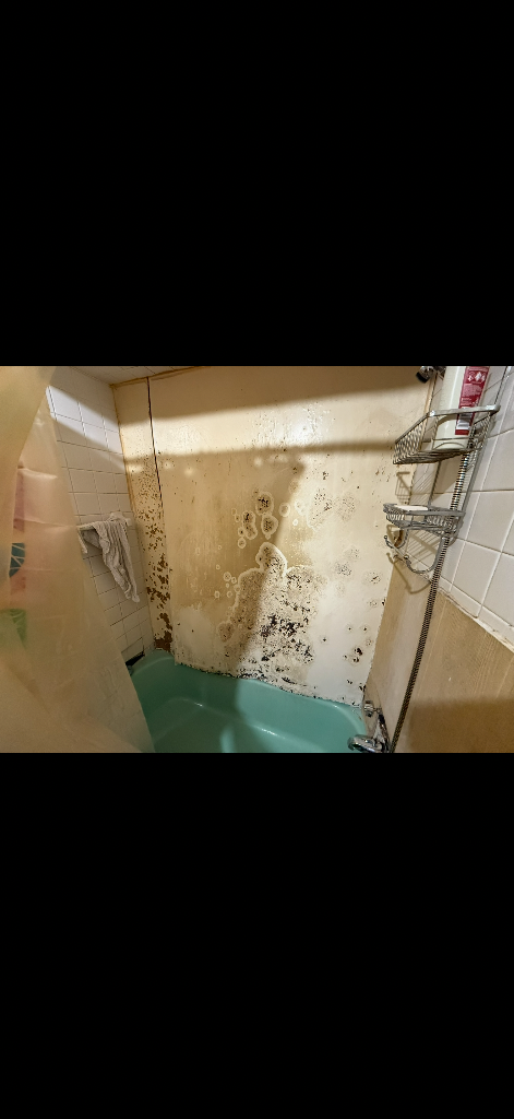 Fire Damage
