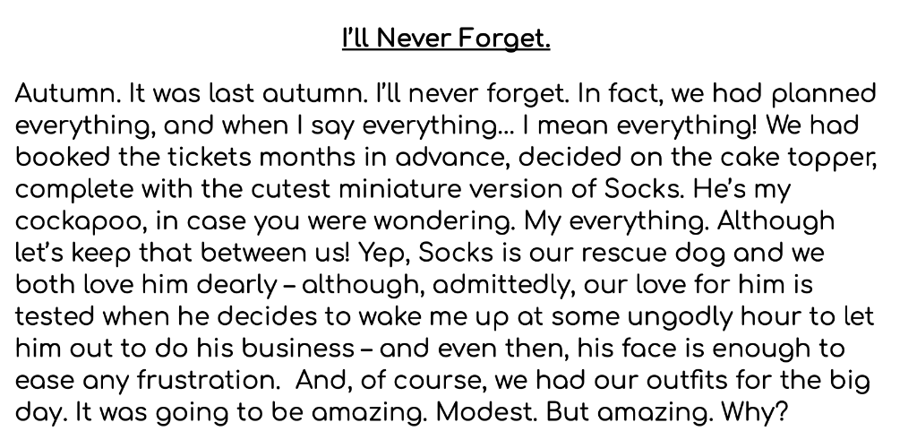 “Never Forget” – Model Narrative cover