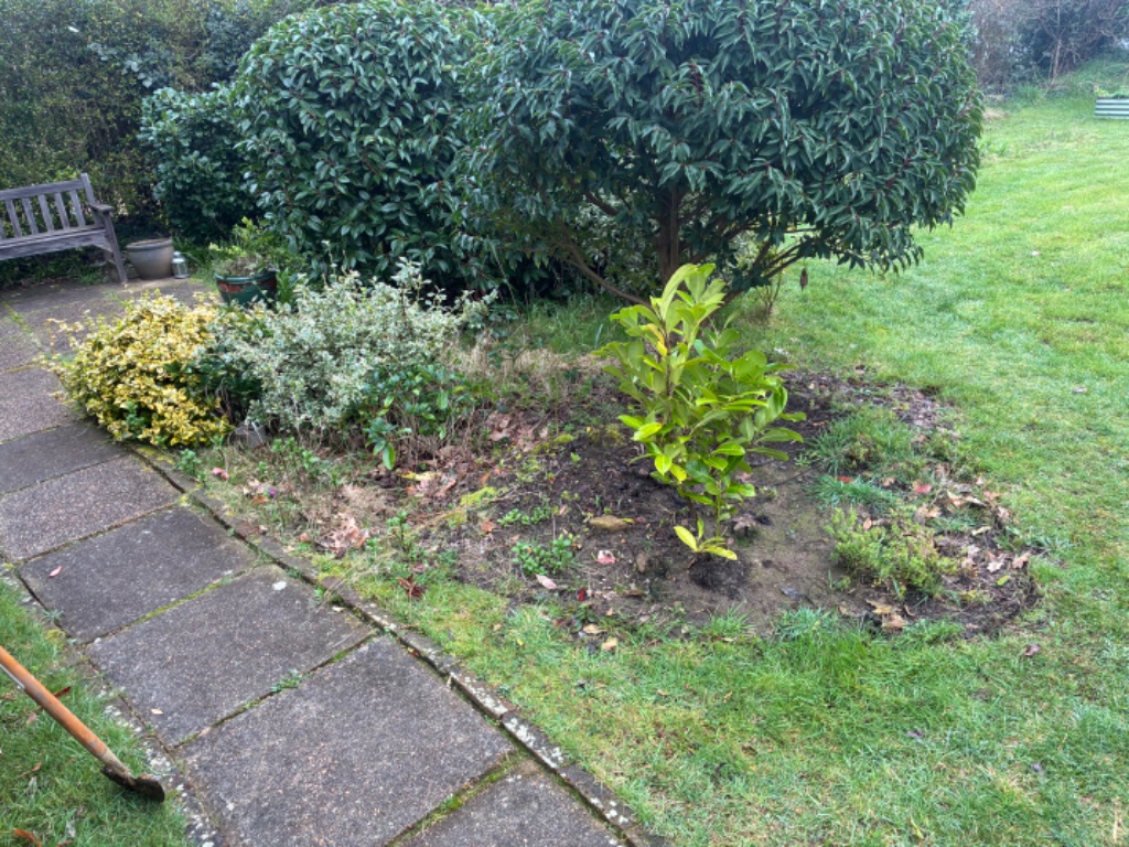 Flower Bed Transformation - before