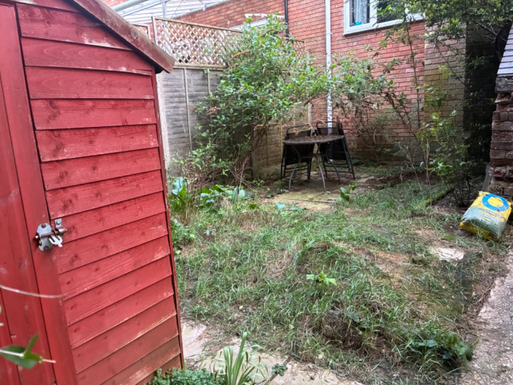 Lawn Turfing - before