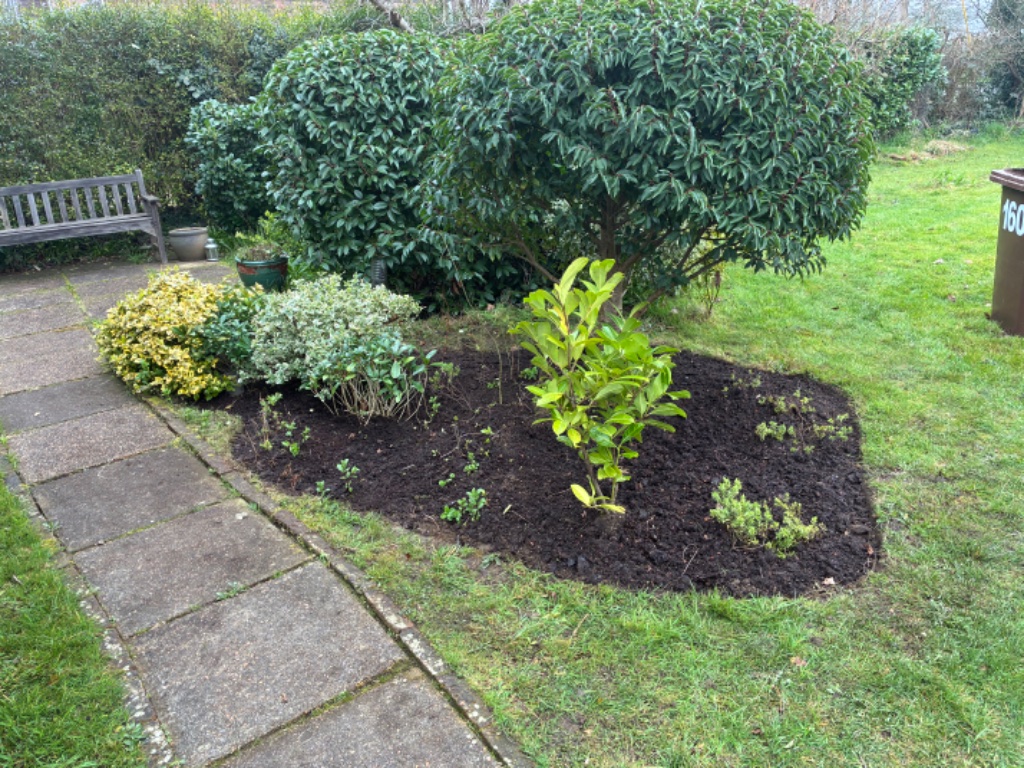 Flower Bed Transformation - after