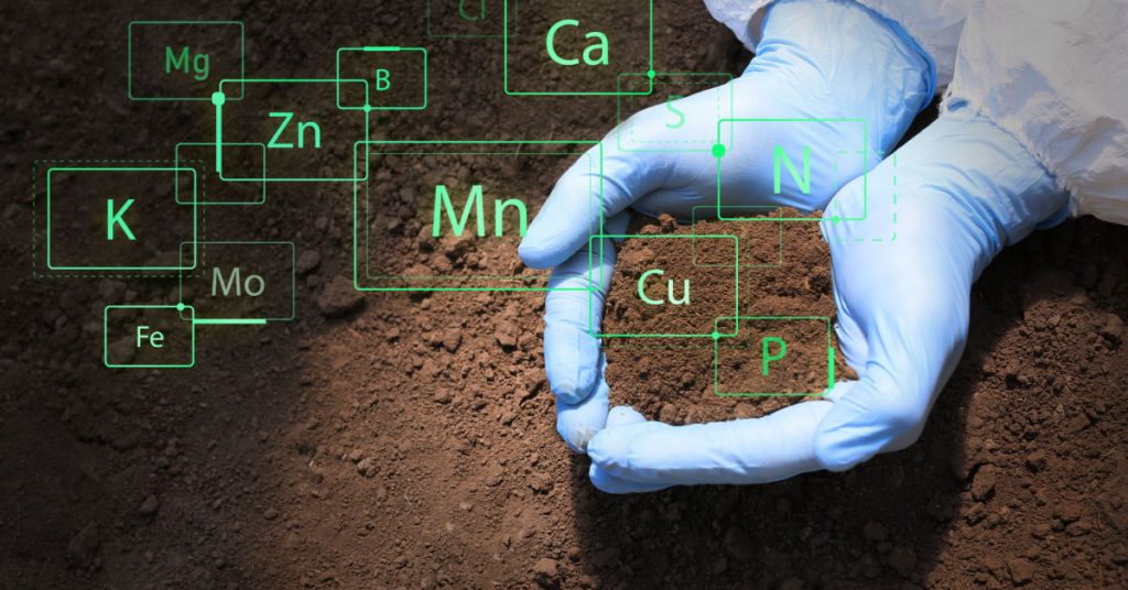 Soil Remediation & Testing