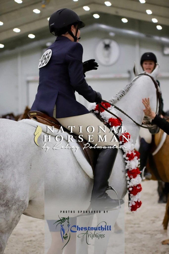 Western Pleasure Championship