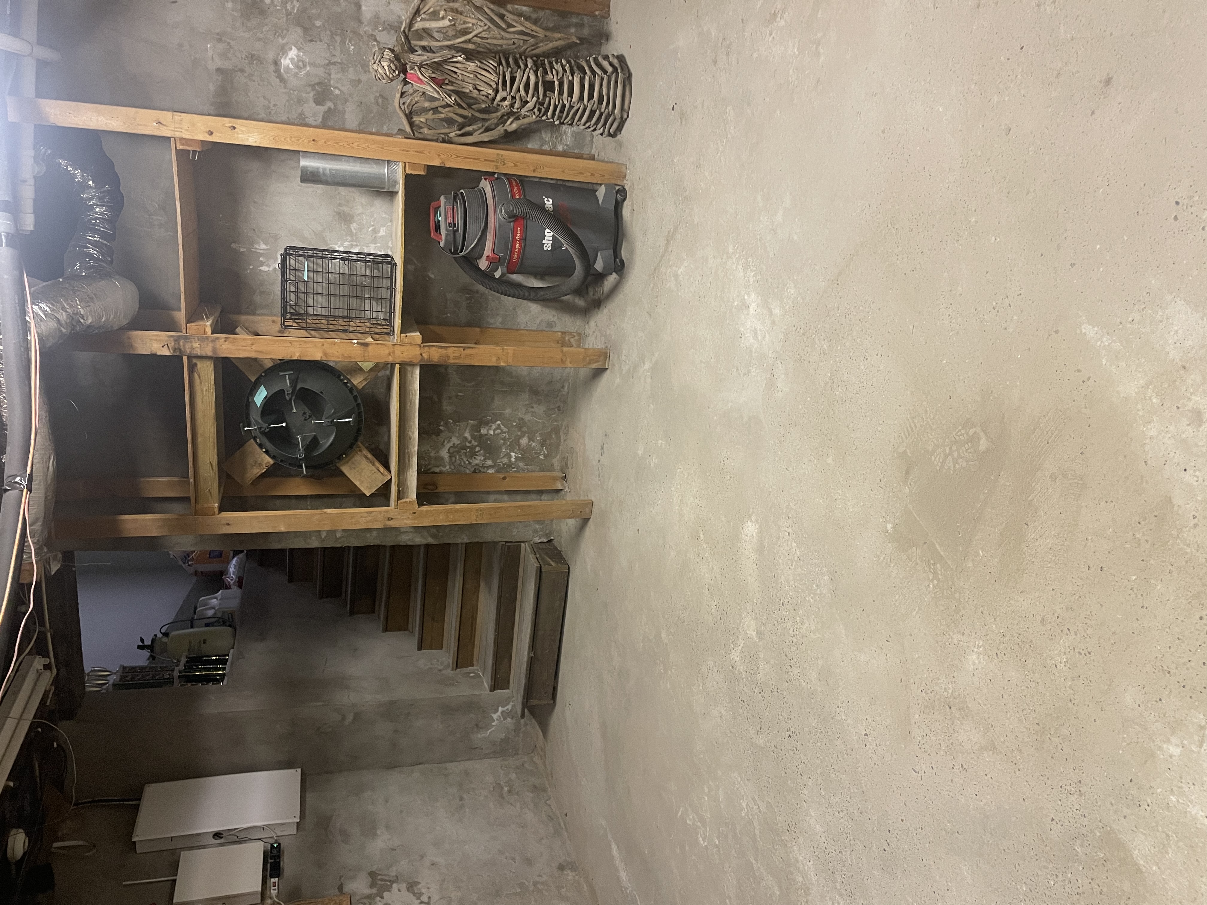 Basement after cleanout