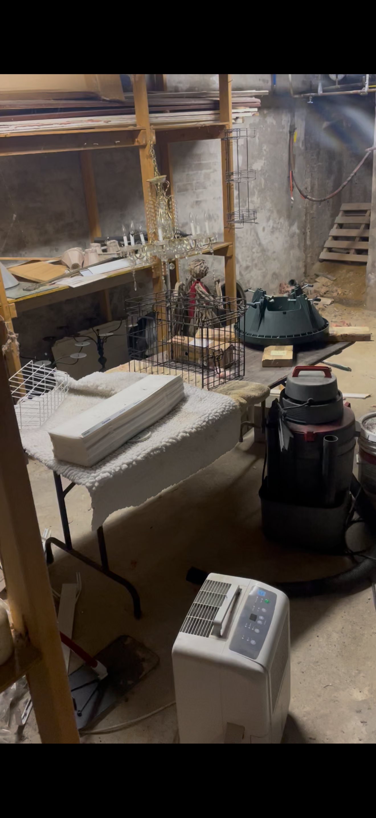 Basement before cleanout