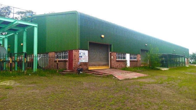 FDT workshop 11