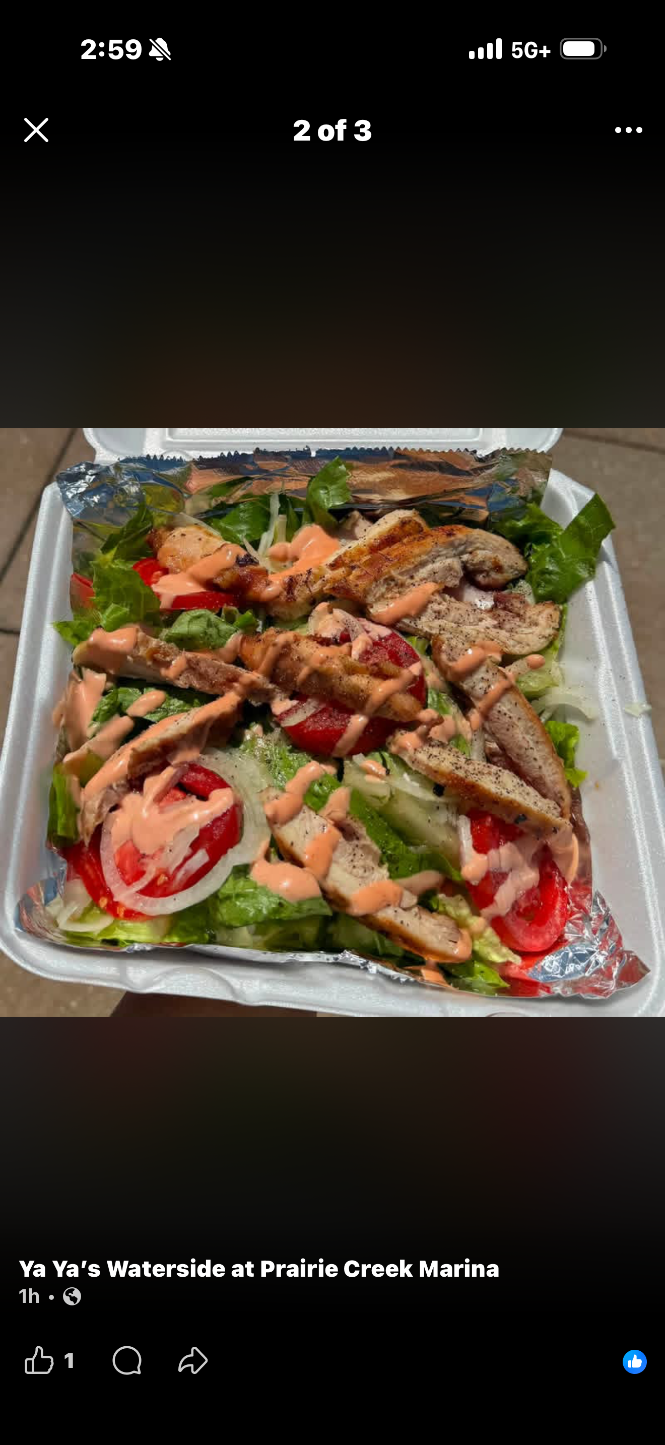 Smoked Chicken Salad