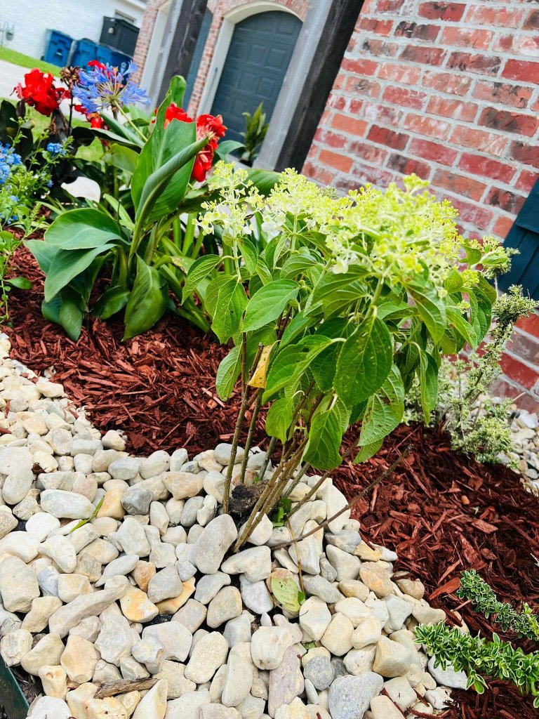 Landscaping project by Transformation Landscaping