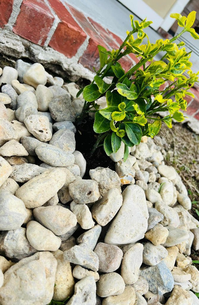 Landscaping project by Transformation Landscaping