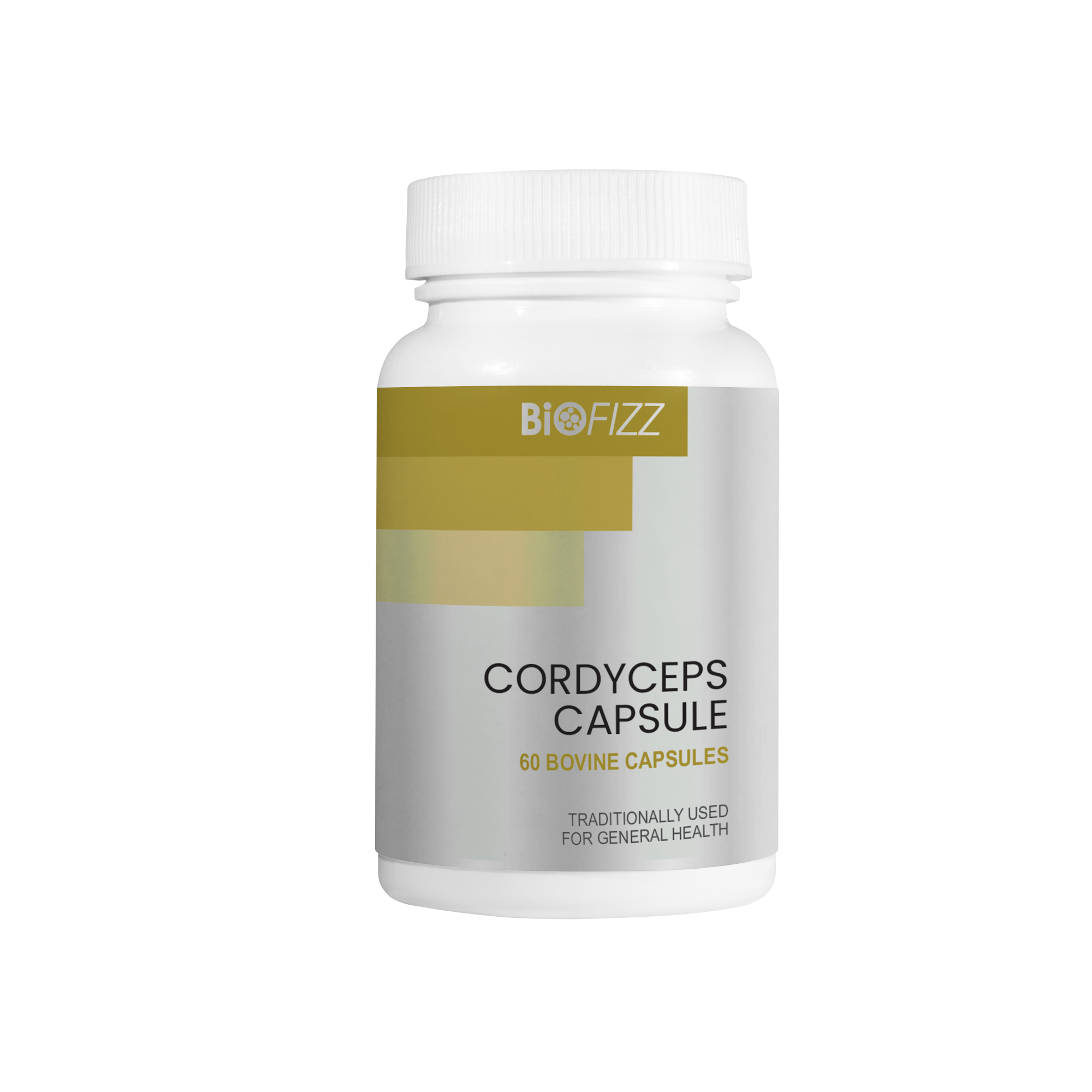 Cordyceps