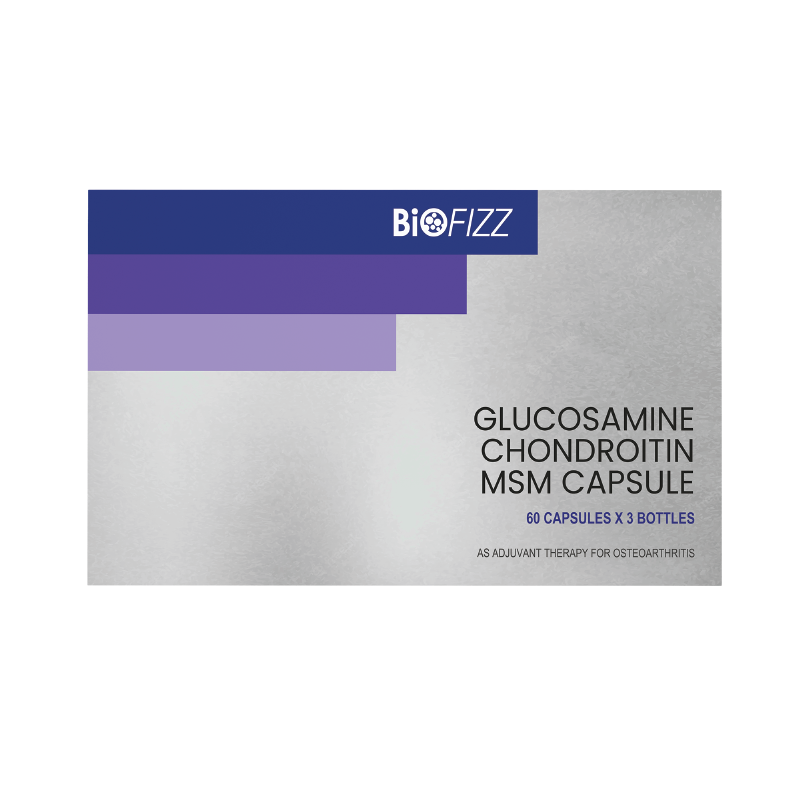 Glucosamine Chondroitin + MSM