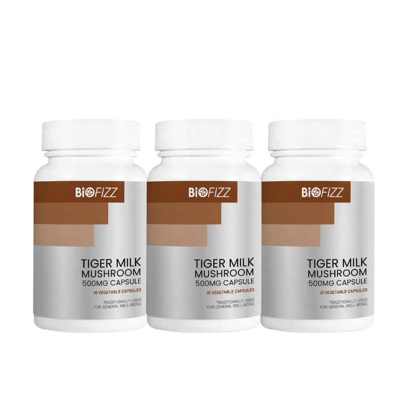 Tiger Milk Mushroom 500mg Capsule