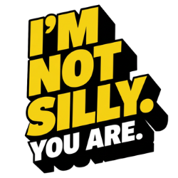 I'm Not Silly. You Are. — Matt Sky logo bird