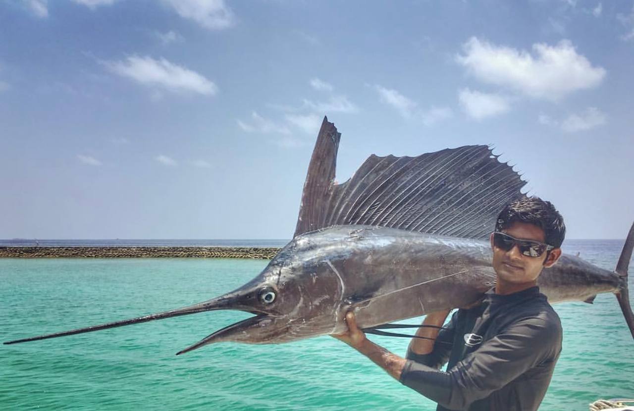 Dolphin sighting during a fishing trip in Noonu Atoll
