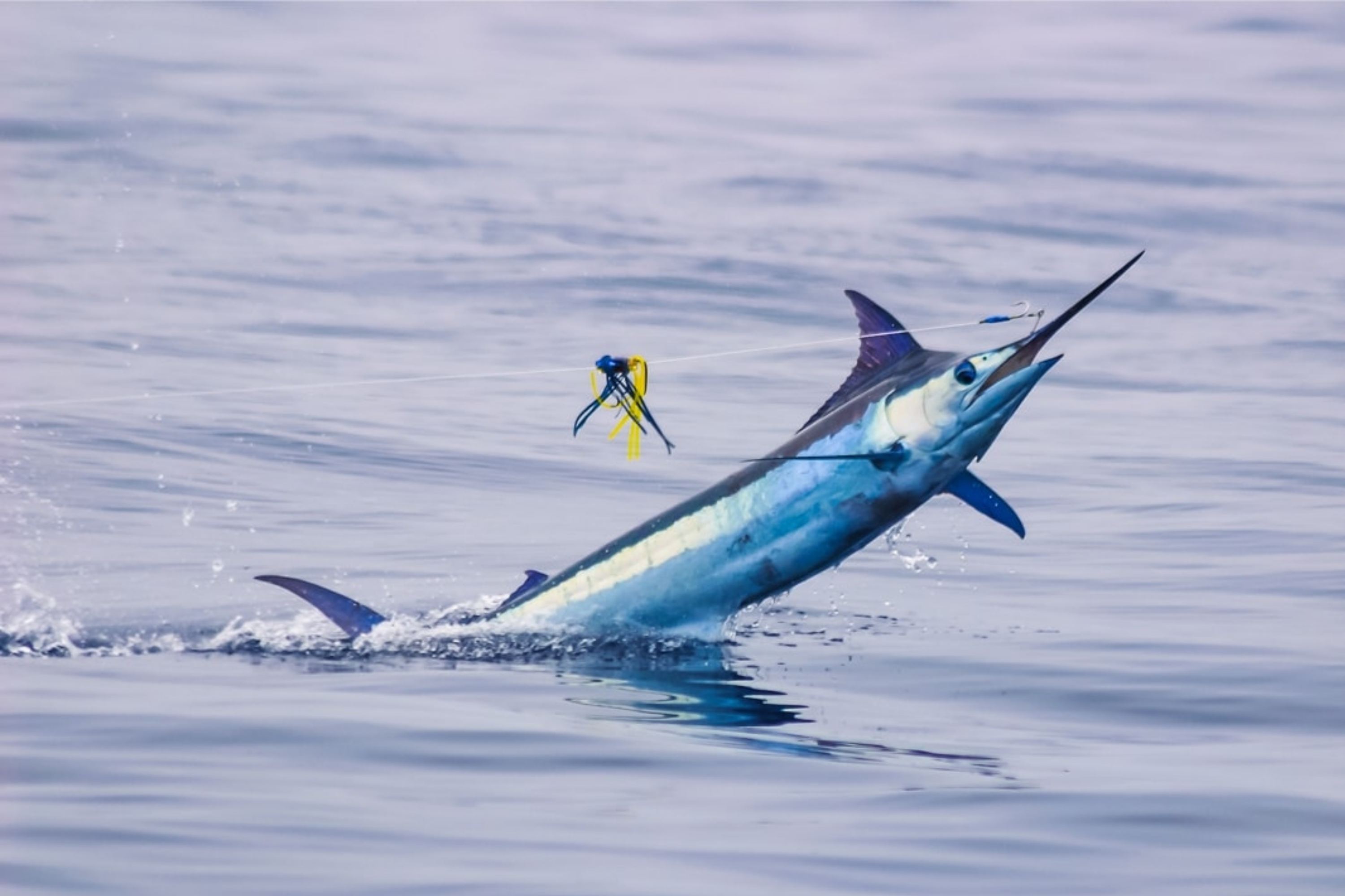 Ultimate Fishing Holiday