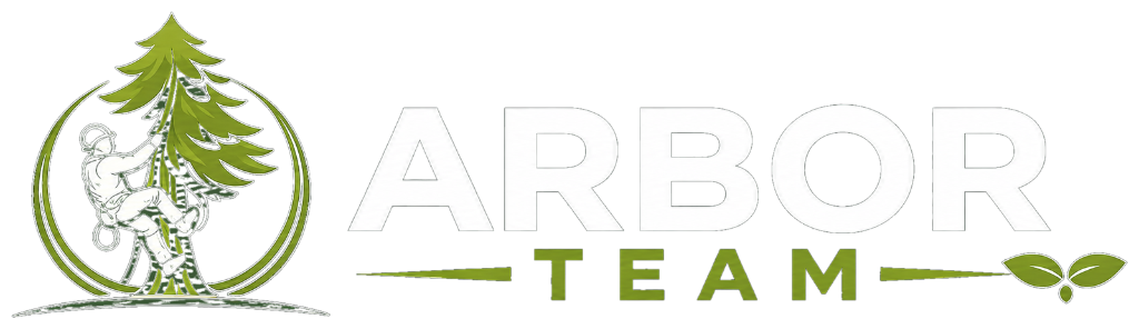 ARBOR TEAM logo