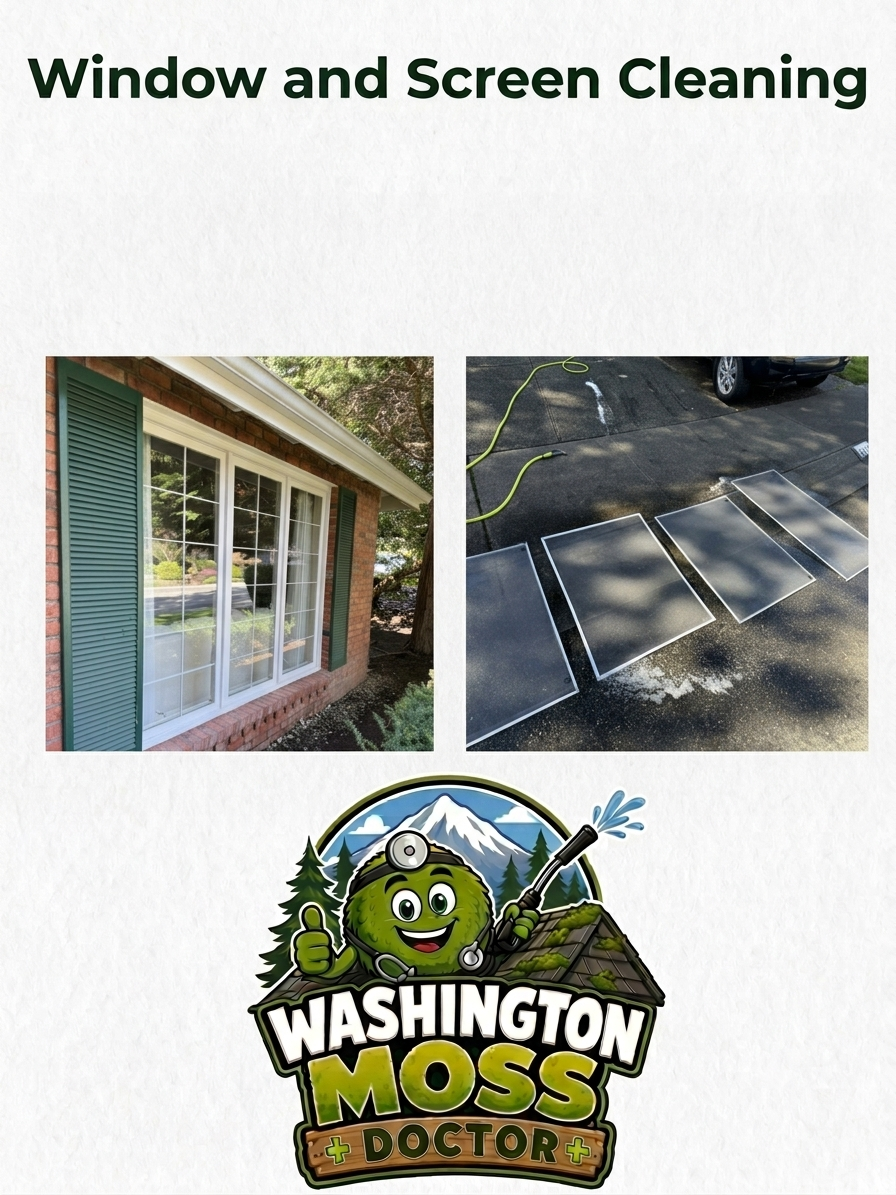 Window & Screen Cleaning