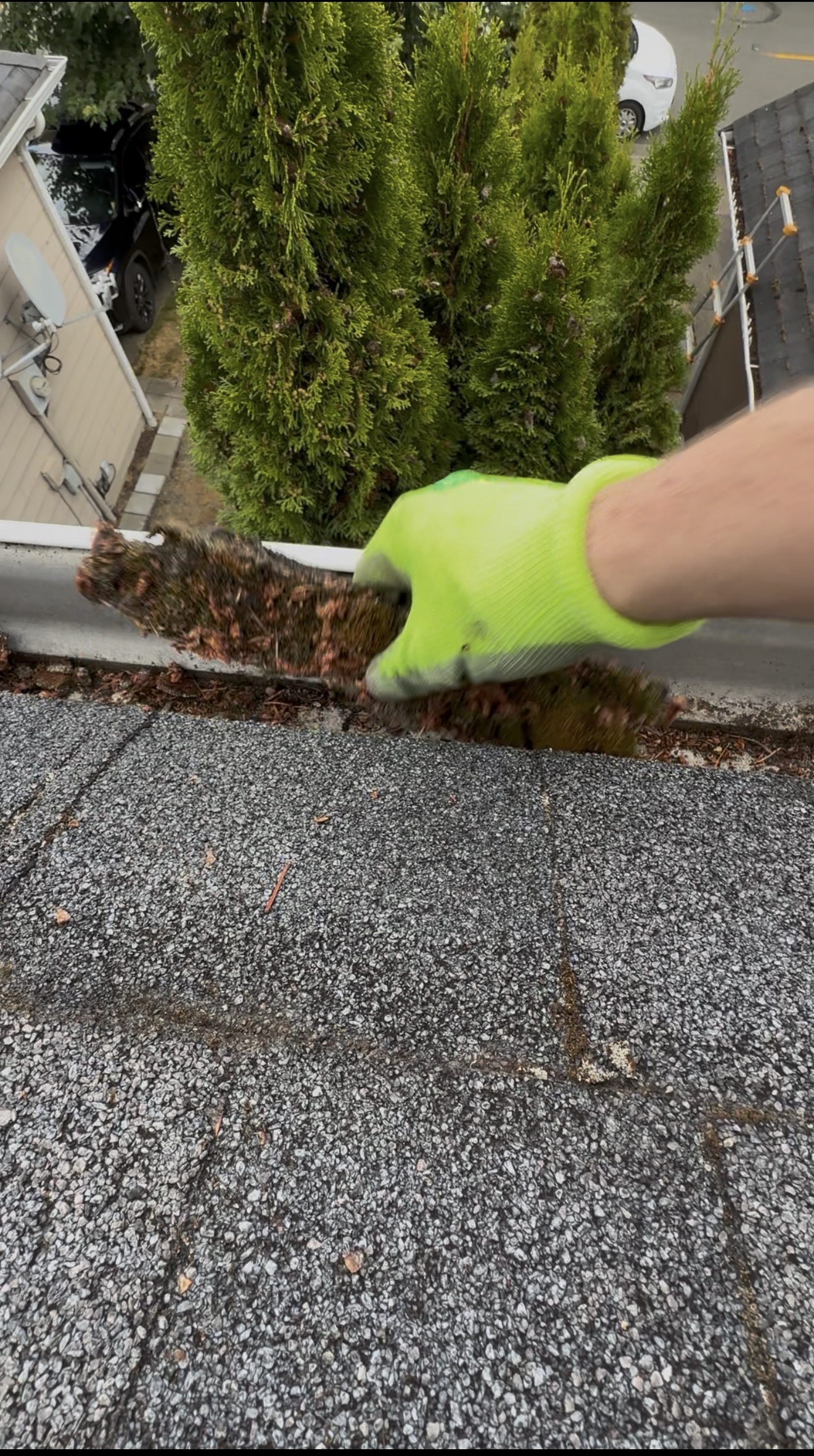 Gutter Cleaning