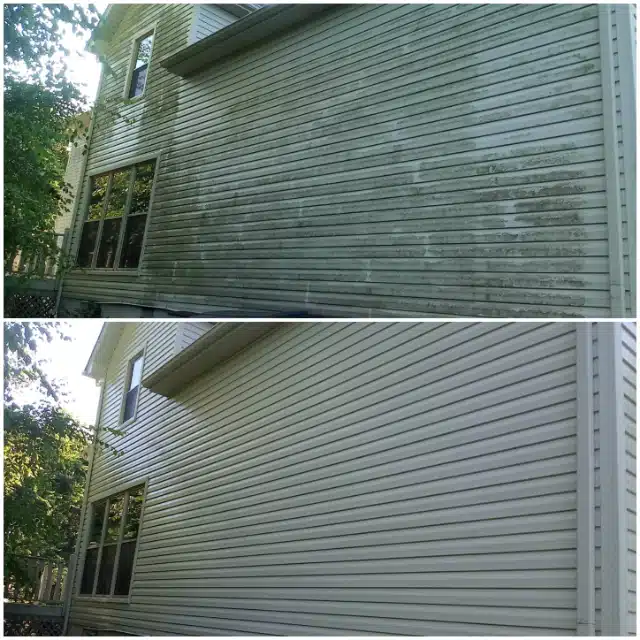 Siding Cleaning