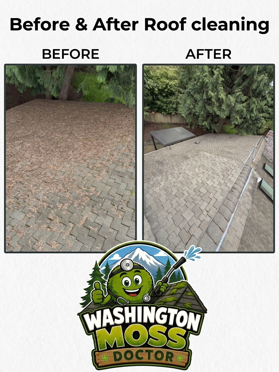 Before & After Roof Cleaning