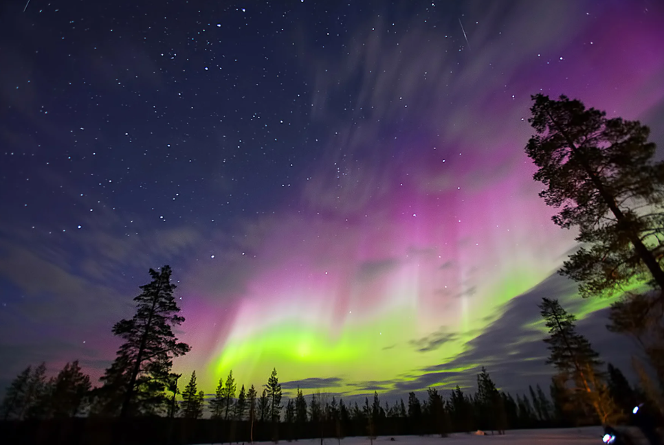 Savour the Northern Lights on The North Cape Line — North