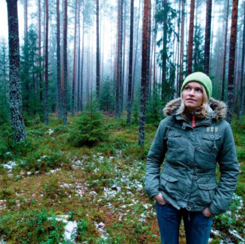 Lahemaa National Park Tallinn