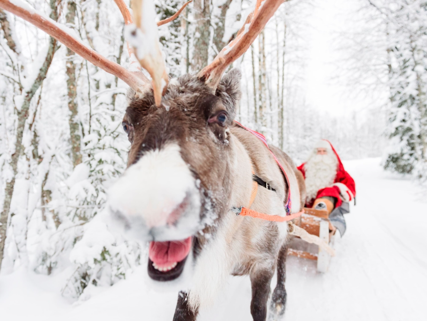 Levi & Rovaniemi Winter Adventure
