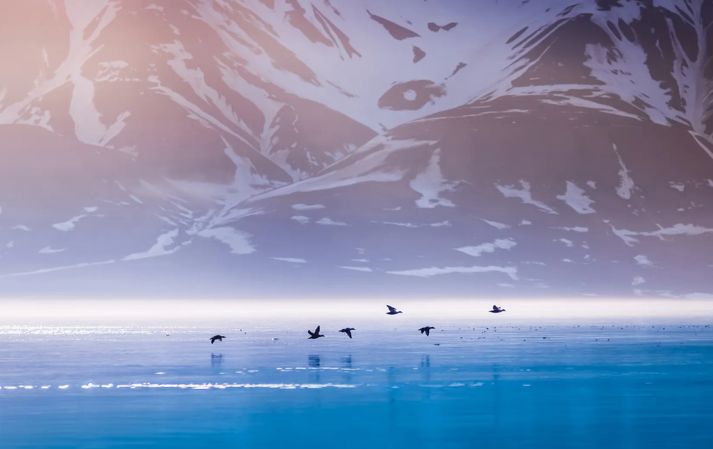 Northern Delights: Svalbard & Arctic Norway