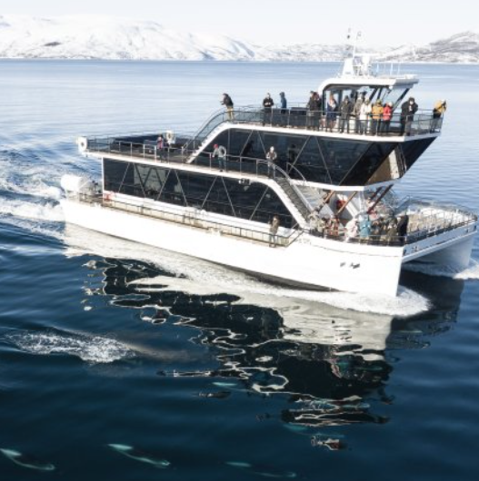 ล่องเรือชมฟยอร์ดและสัตว์ป่าที่ Tromsø