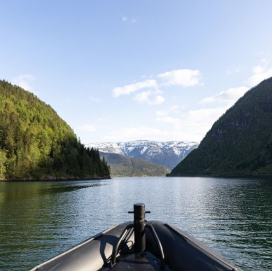 Osafjord RIB Safari จาก Ulvik
