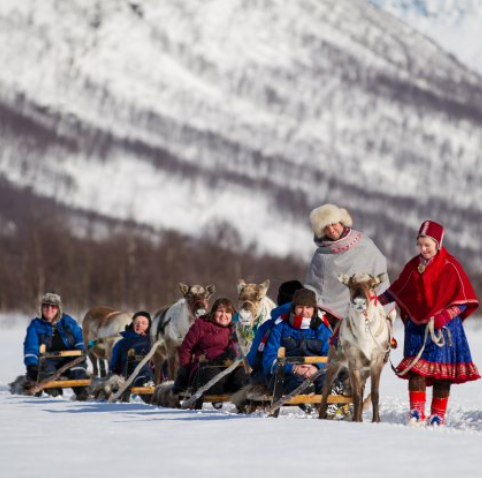 Reindeer Sledding & Sami Culture in Lyngsfjord