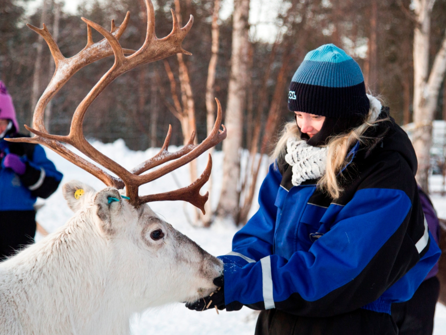 Inari Northern Lights & Wilderness Break