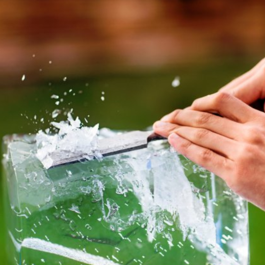 Ice Sculpting