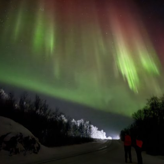 Northern Lights Chase by Bus in Kirkenes