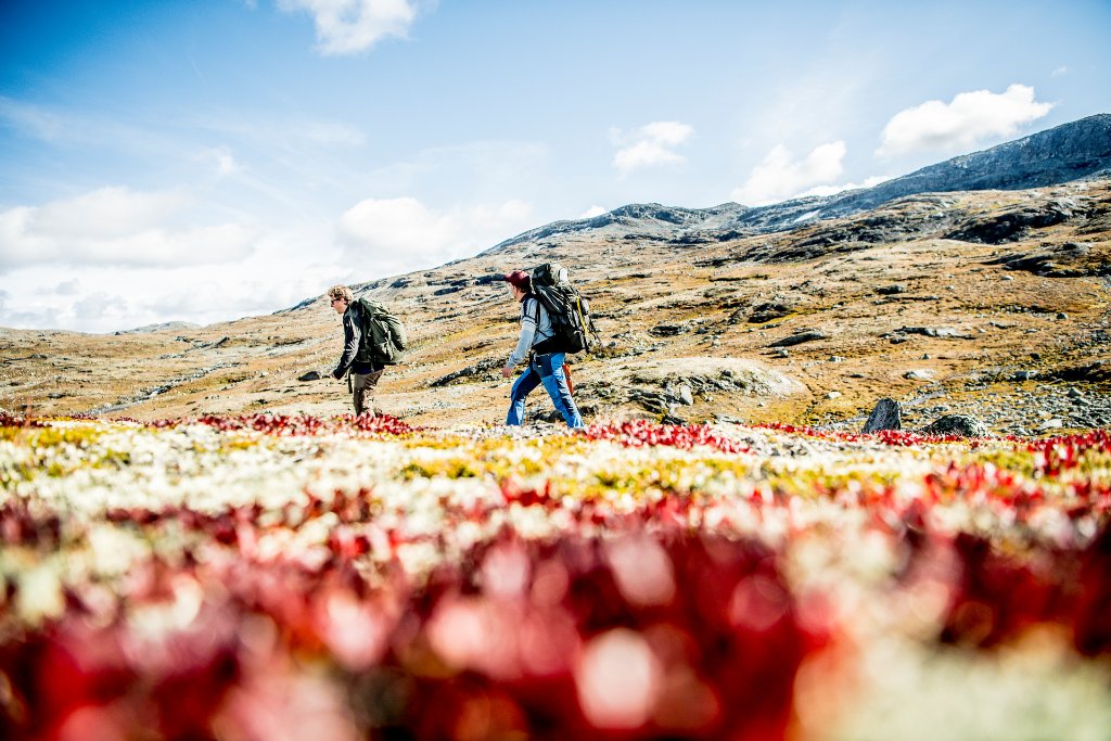 Bergen & Fjord Adventure